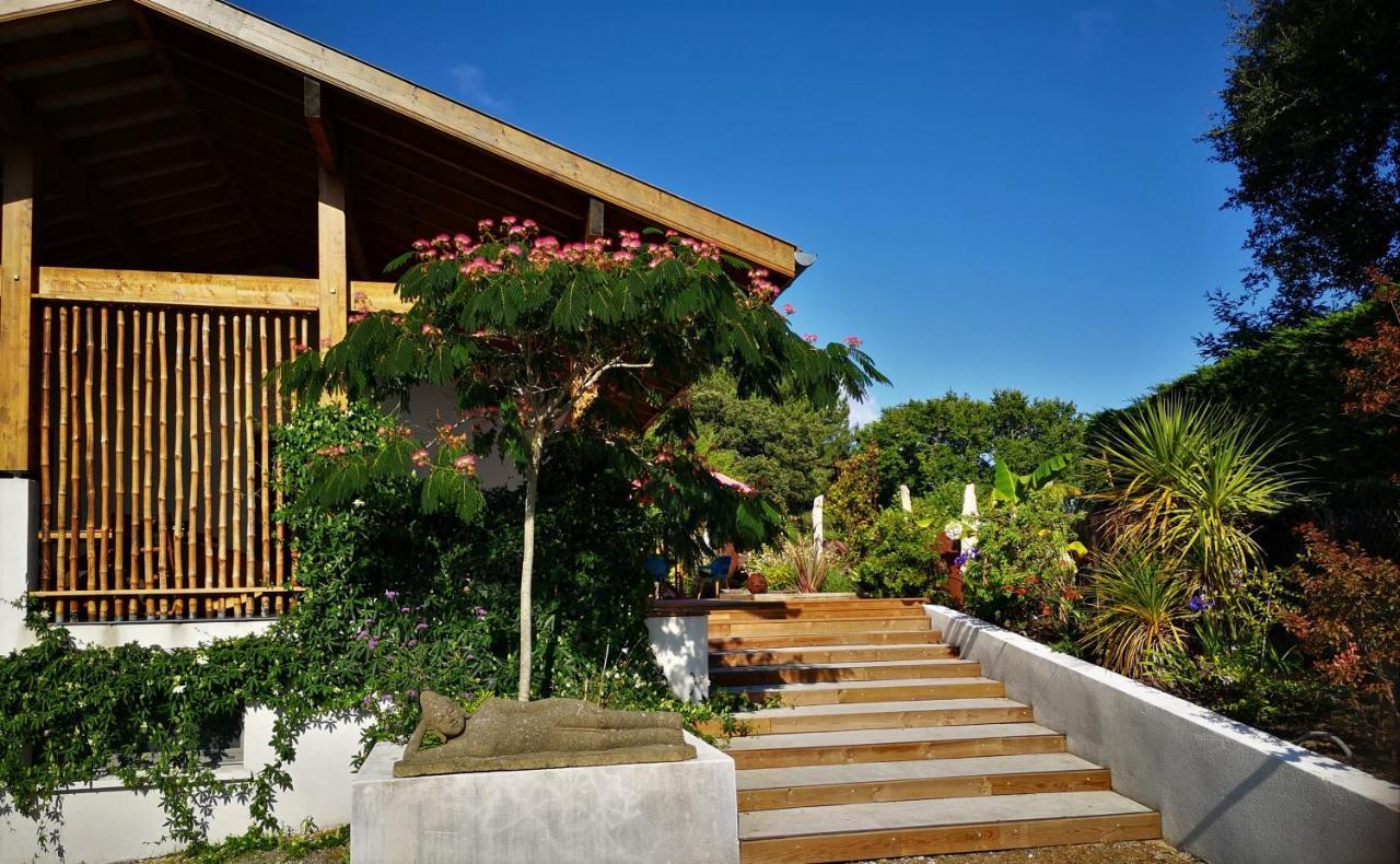 Villa Hossegor - 4 Etoiles, 6 Chambres - 5 Salles De Bains - Piscine Chauffee 5 Mn Des Plages Soorts-Hossegor Eksteriør billede